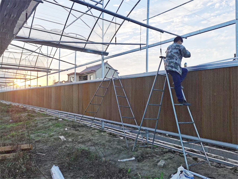 湖南花卉種植場環境空間通風降溫案例