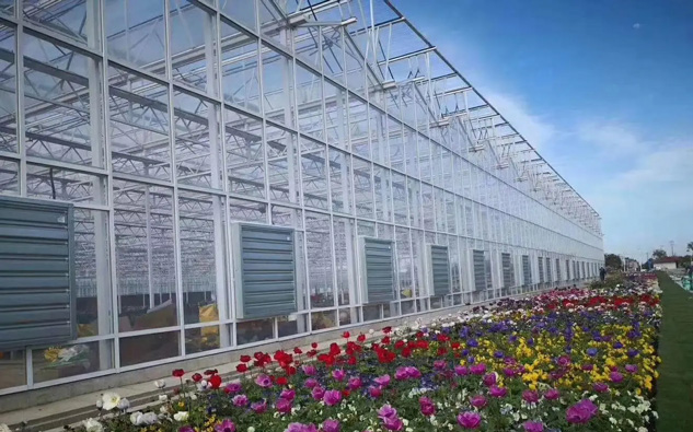 美碩風_解決方案_溫室/種植大棚