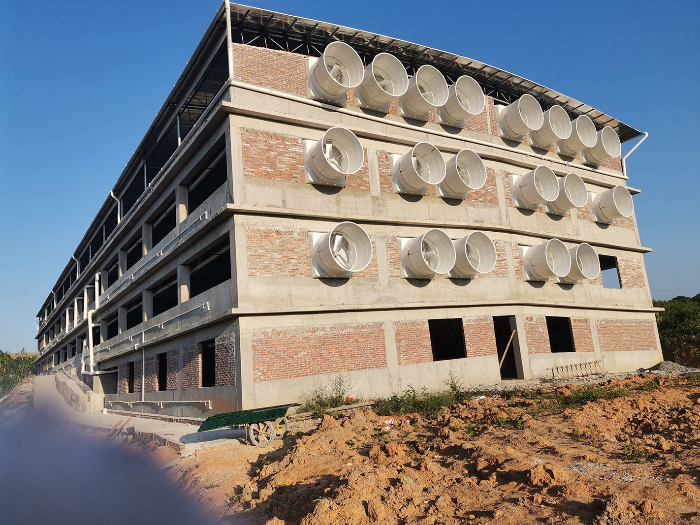 肇慶養豬場環境空間通風降溫案例